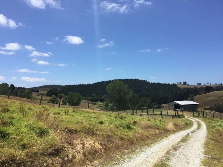 98a Corlett Road Tauhoa_10