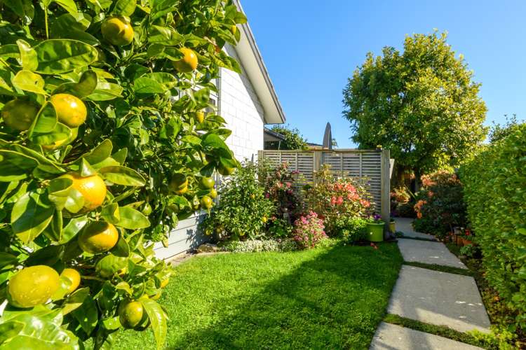 2 Calla Way Matua_14