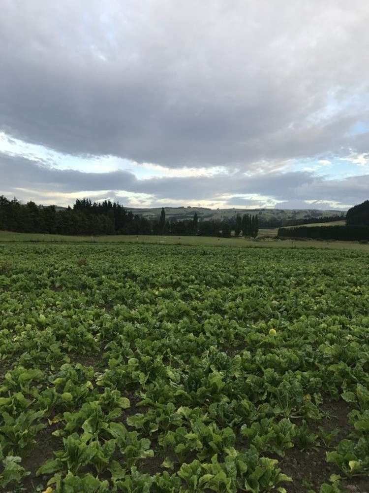 1259 Lakeside Road Milton_11