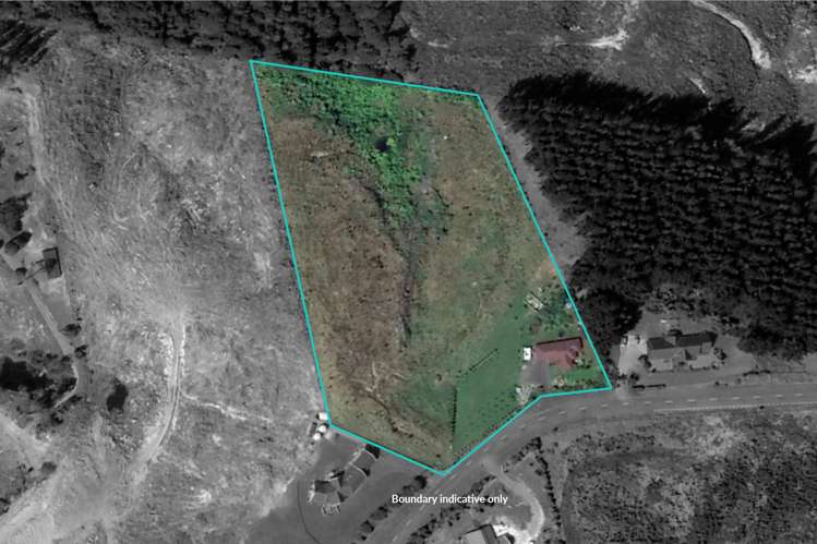 265 Ngahere Park Road Turitea_25