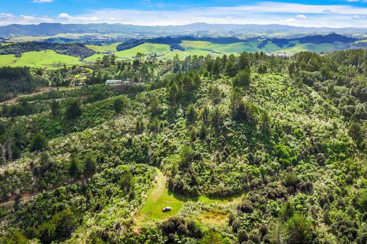 Lot 3 Radiata Road Warkworth_16