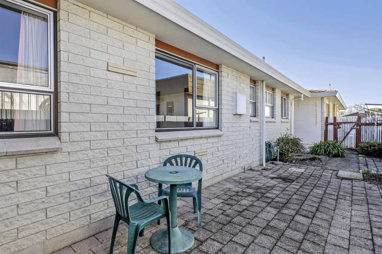 2/500 Avenue Road West Hastings_15