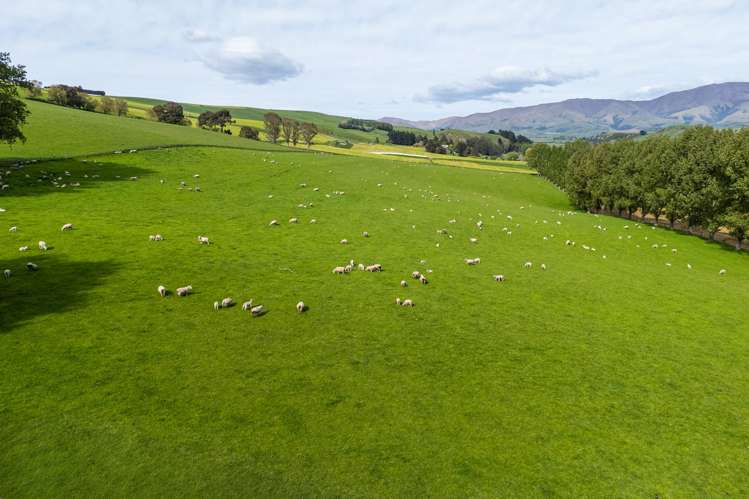 665 Craigmore Valley Road Maungati_20