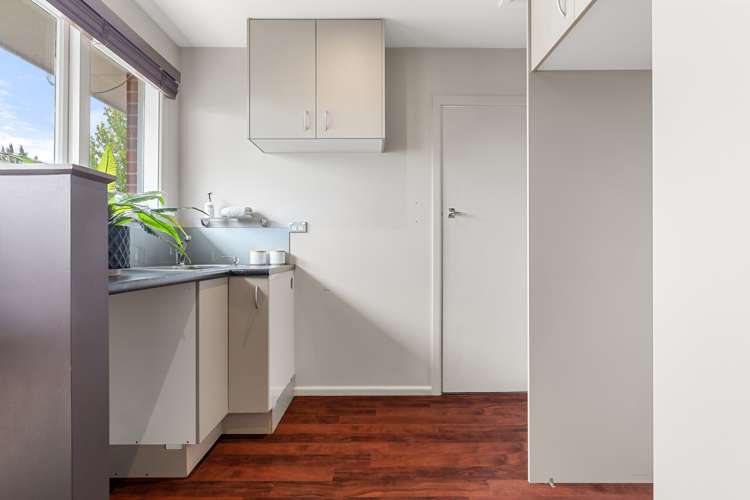 33 Wingate Street Redwood_21