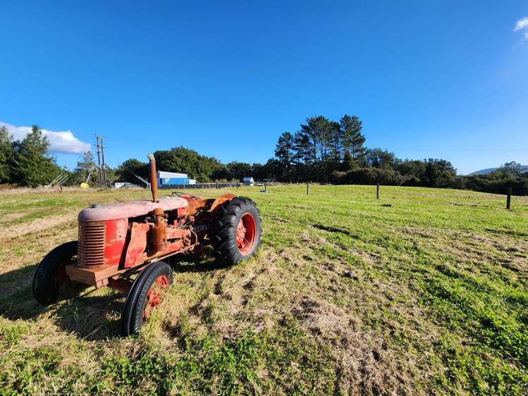 406 Taylorville Road Coal Creek_15