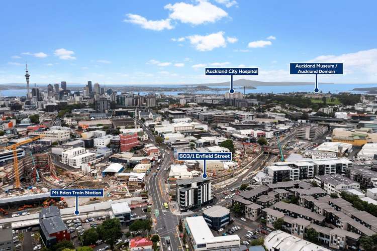 1 Enfield Street Mount Eden_7