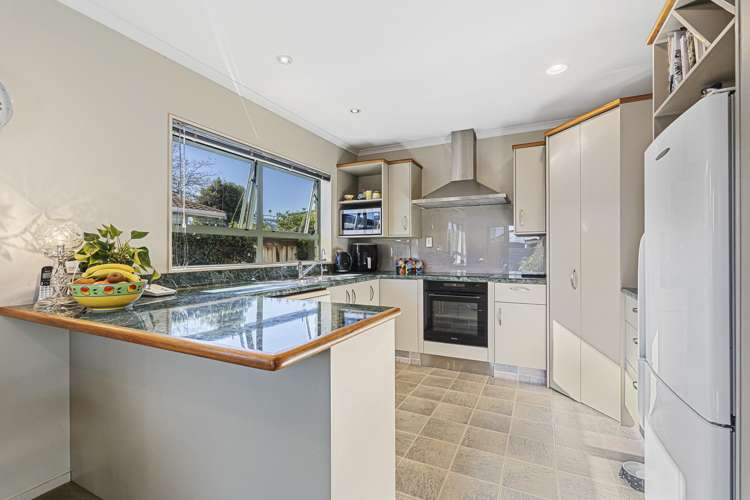 153A Carrington Street Vogeltown_12
