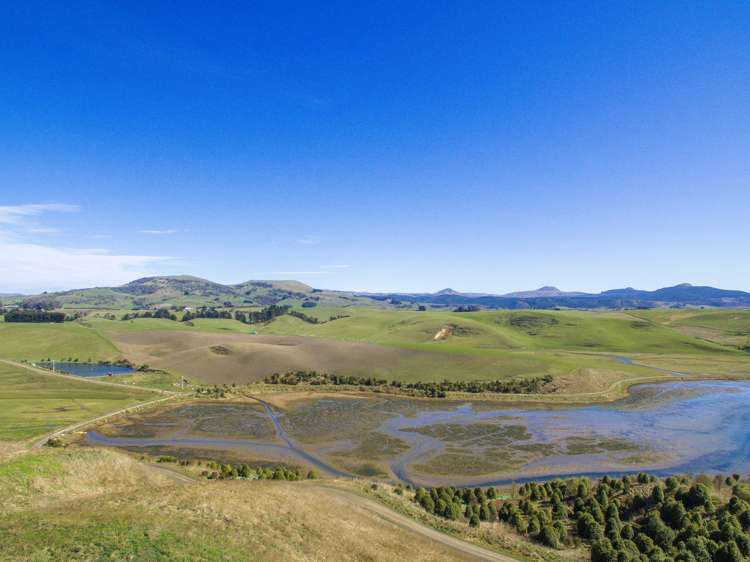 378 Thorburn Road Waikouaiti_8