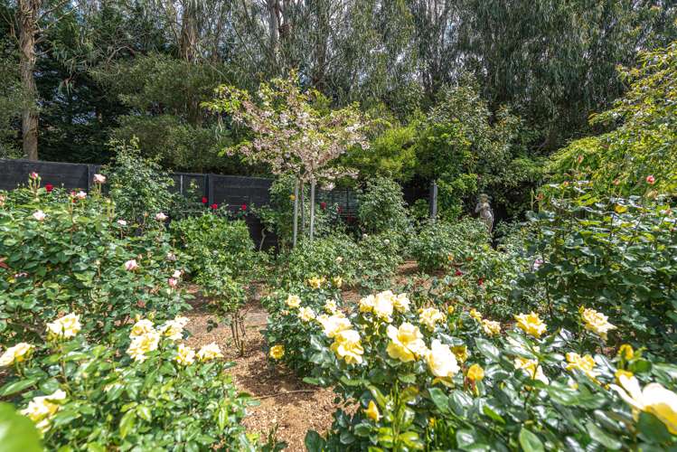 21 Sandcroft Drive Westmere_26