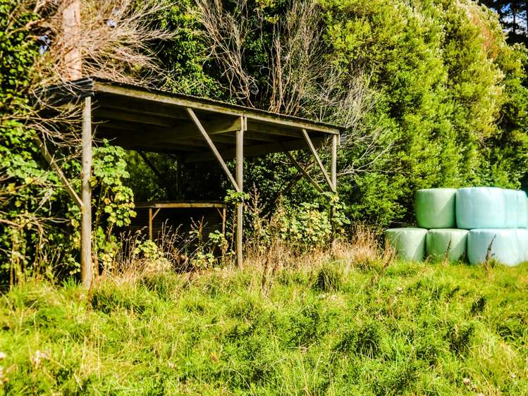 709 Ingahape Road Ohangai_30