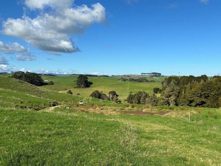 Paparoa Road_4