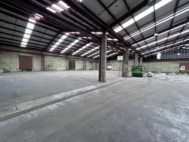 30 Bauchop Street Dunedin Central_2