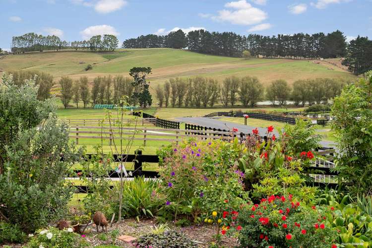 11 Old Vintners Close Te Kauwhata_15