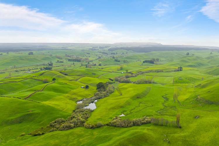 310 Matarawa Road Kinleith_25