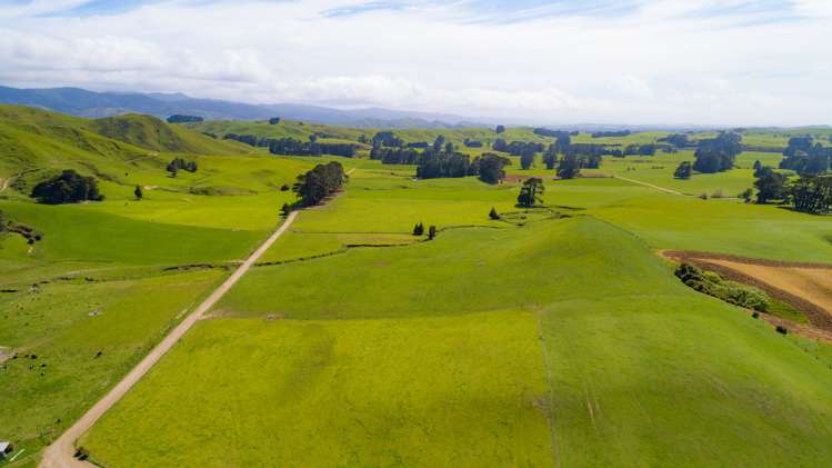 454 Parkville Road Eketahuna_17