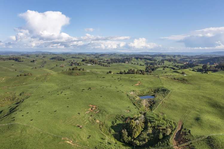 574 Mangaotaki Road Piopio_25