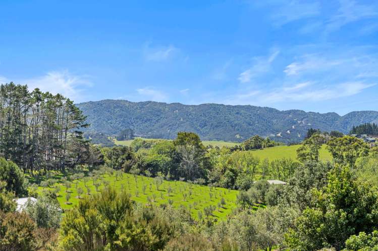 Lot 38/2343 Cove Road Mangawhai_14