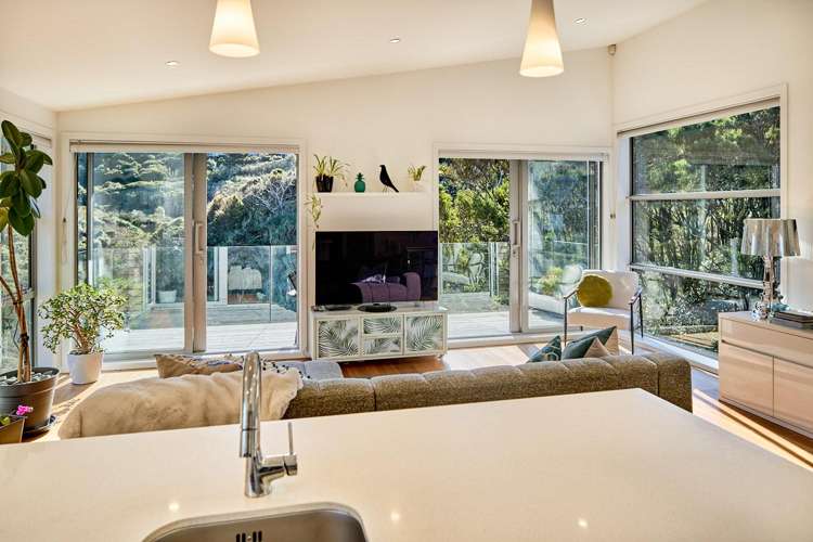 7 Makomako Road Brooklyn_1