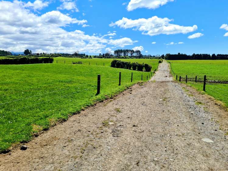 299 Cardiff Road Cardiff_24