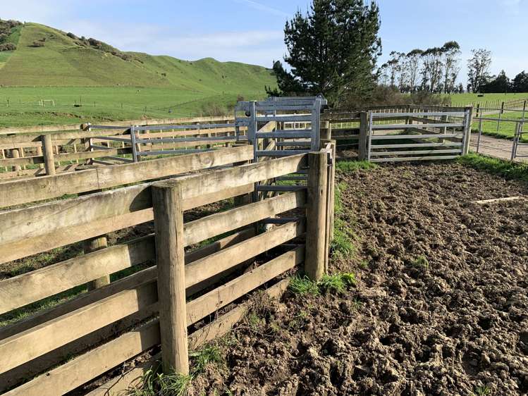 895 Bird Road Stratford_5