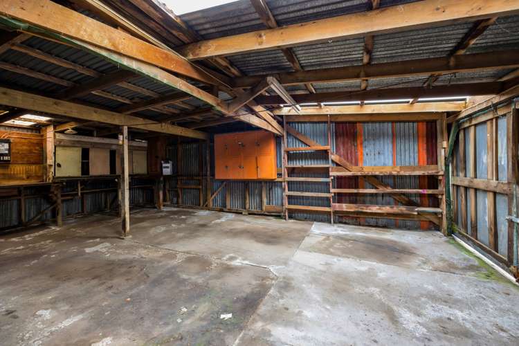 295d Henwood Road Hillsborough_27