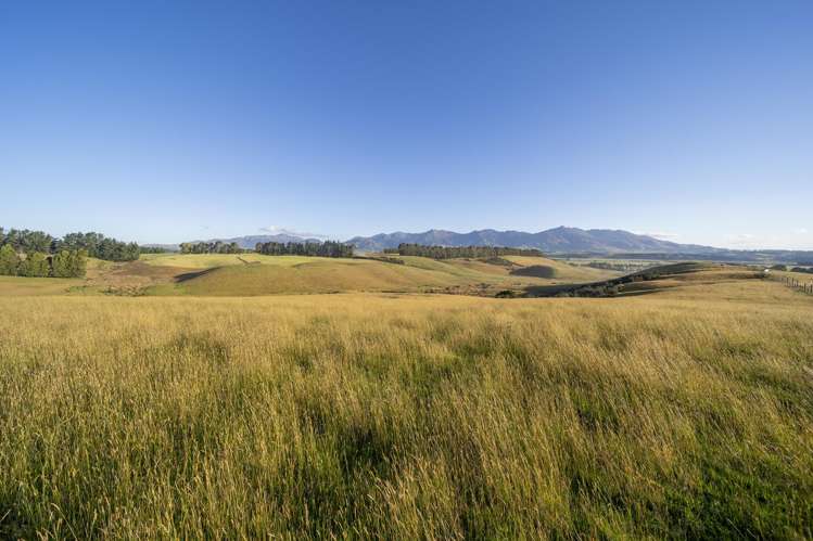 208 Wilderness Road Te Anau_3