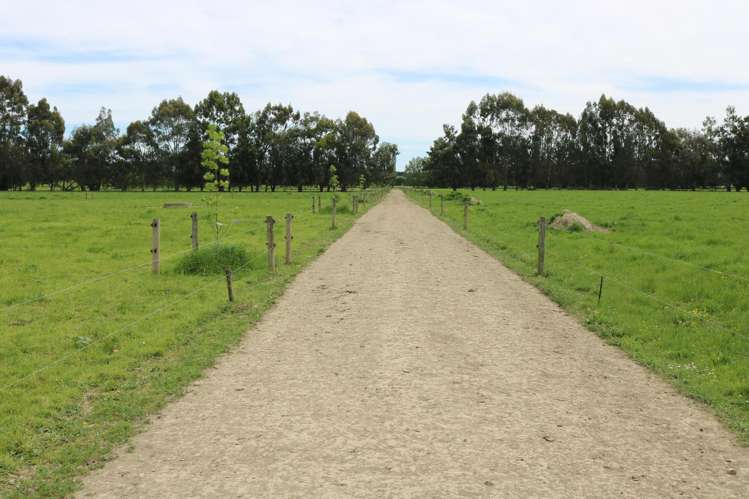 261 Middle Road Tapanui_19