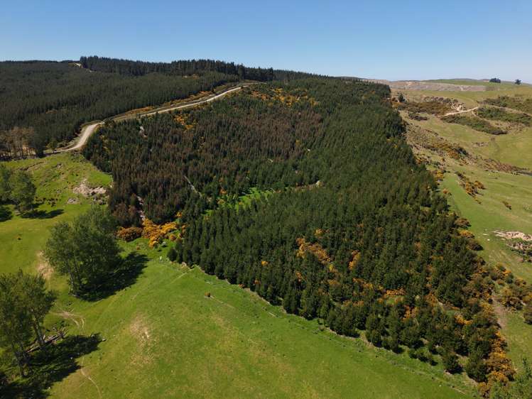 66 Otokia-Kuri Bush Road West Henley_25