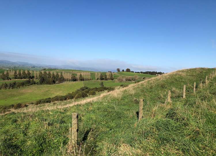 57 Earle Road Pukeatua_13