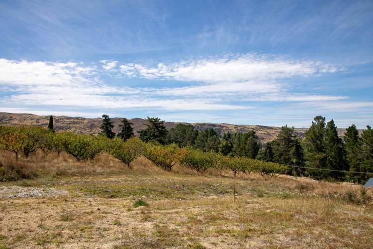 Ladysmith Road Roxburgh East_21