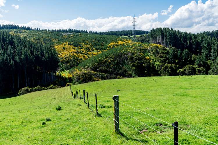 Waihola Hill Road Milton_15