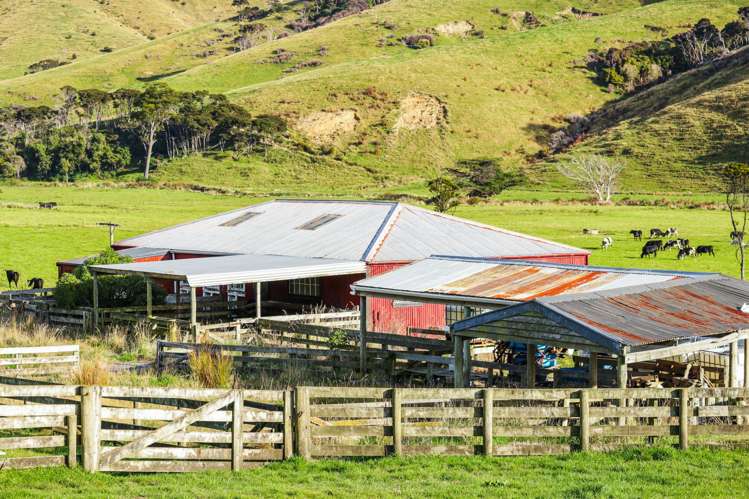 461 Goughs Road Goughs Bay_9