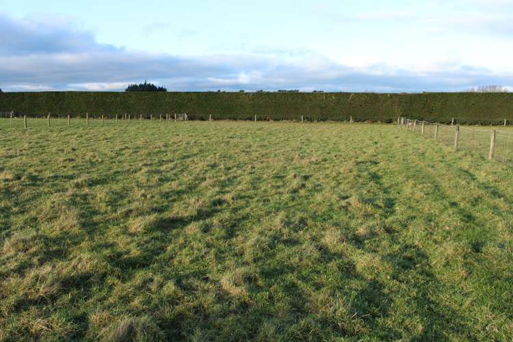 33 Manse Street Edendale_2