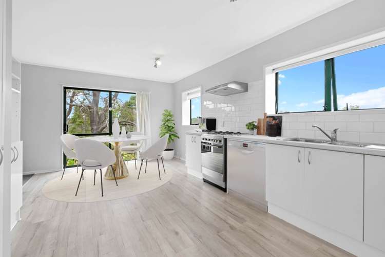 249d Wright Road Dairy Flat_9