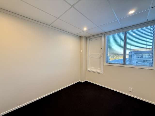 36 Pollen Street Grey Lynn_3