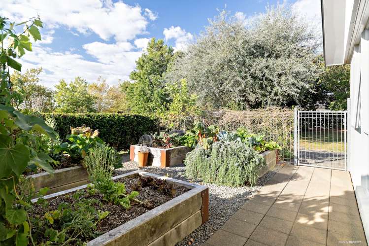 93 Butcher Road Pukekohe_22