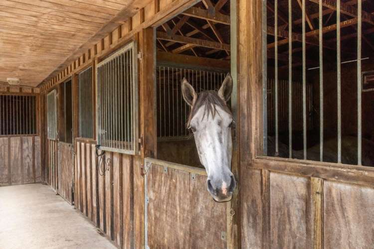 6 Ellett Road Karaka_2