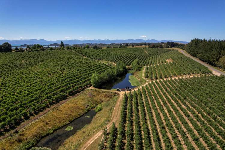 5 Lindup Road Lower Moutere_7