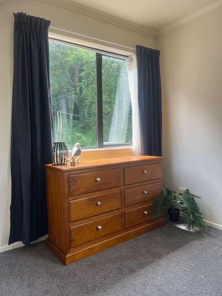 17 Serpentine Avenue Dunedin Central_5