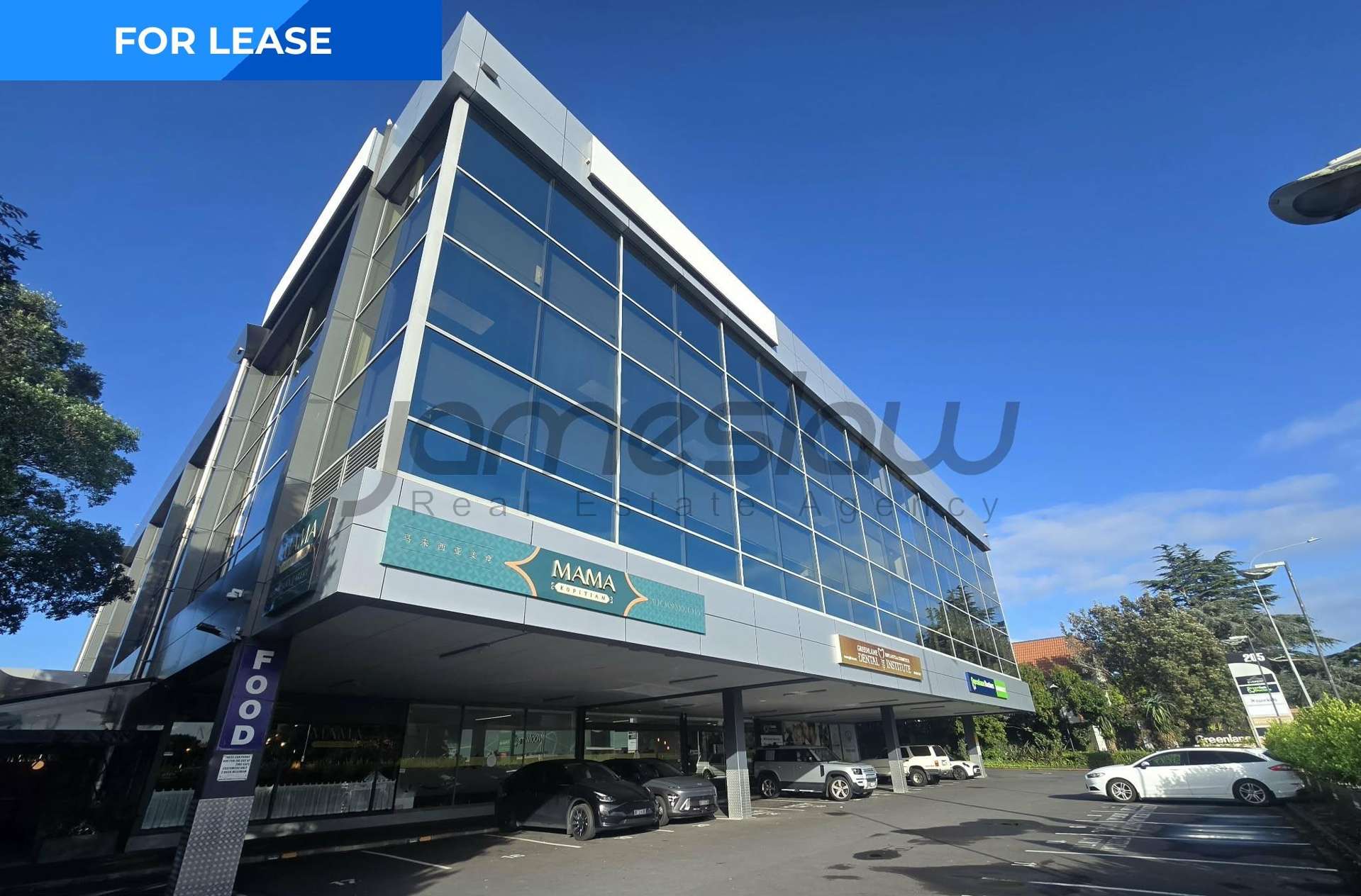 Level 3/205 Great South Road Greenlane_0