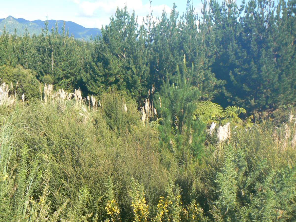 340 Duddy Road_1