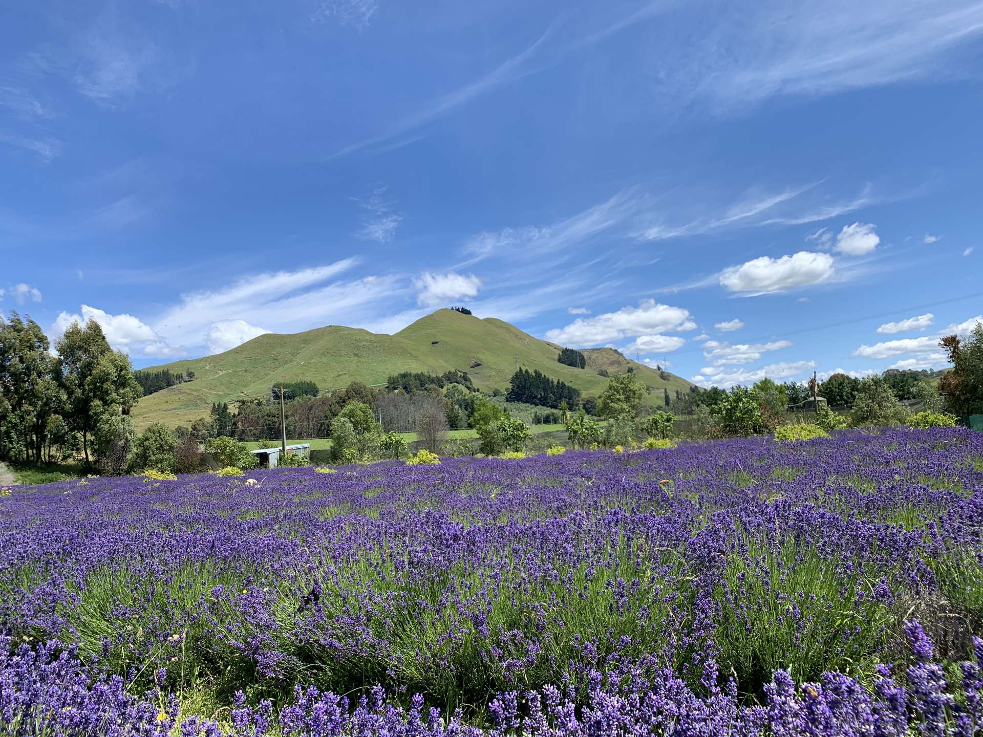 11 Mount Heslington Road Brightwater_0