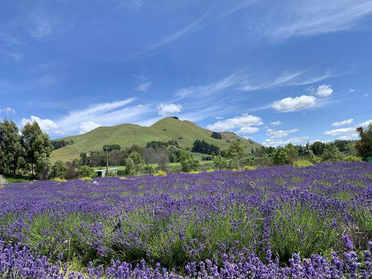 11 Mount Heslington Road Brightwater_0