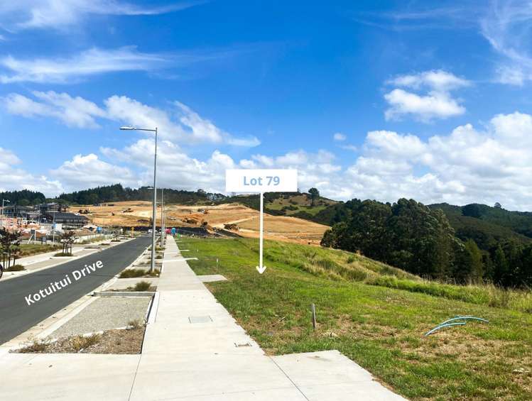 31 Kotuitui Drive Wainui_1