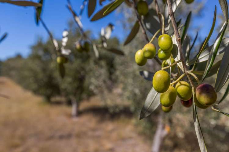 10 Bay End Rarangi_12