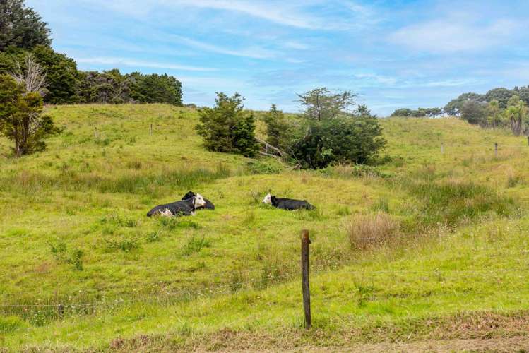 79B Curtis Road Rawene_24