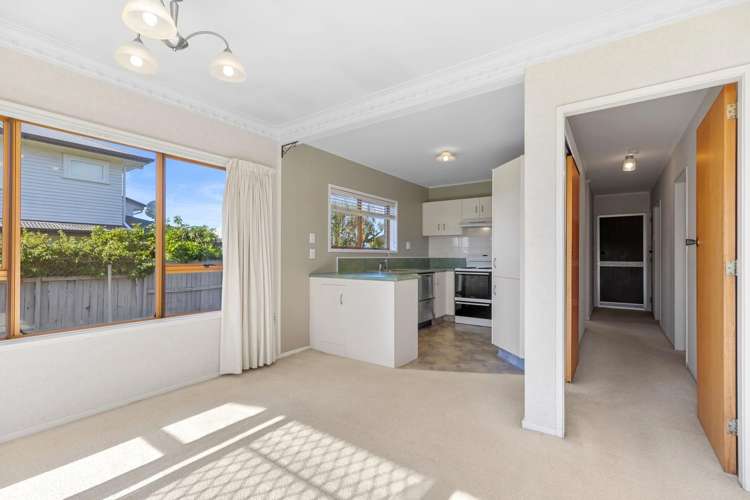 45A Hinewa Road_4