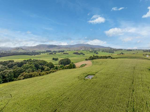 1179 Tahuna Road Ohinewai_1