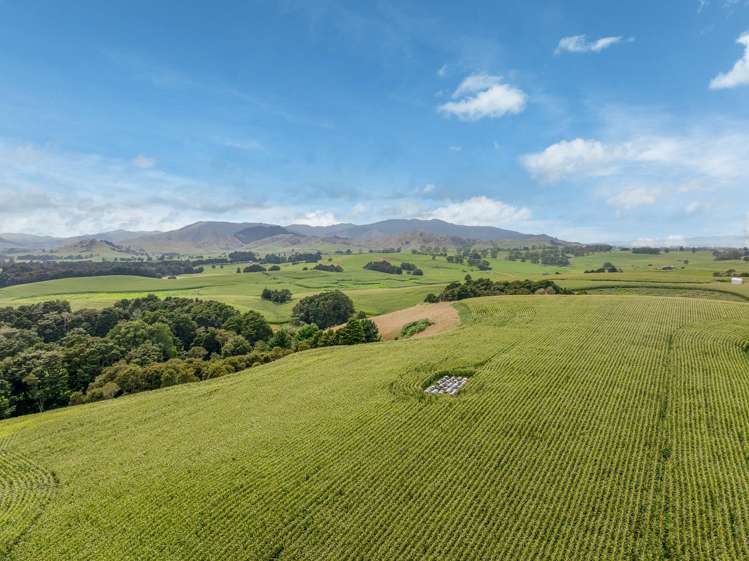 1179 Tahuna Road Ohinewai_1