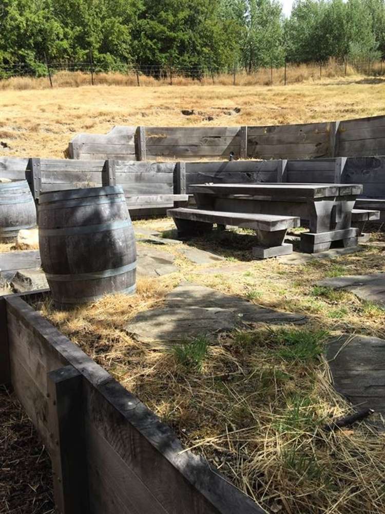 1674 Saint Bathans Loop Road Saint Bathans_17